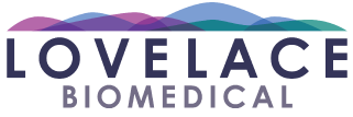 Lovelace logo