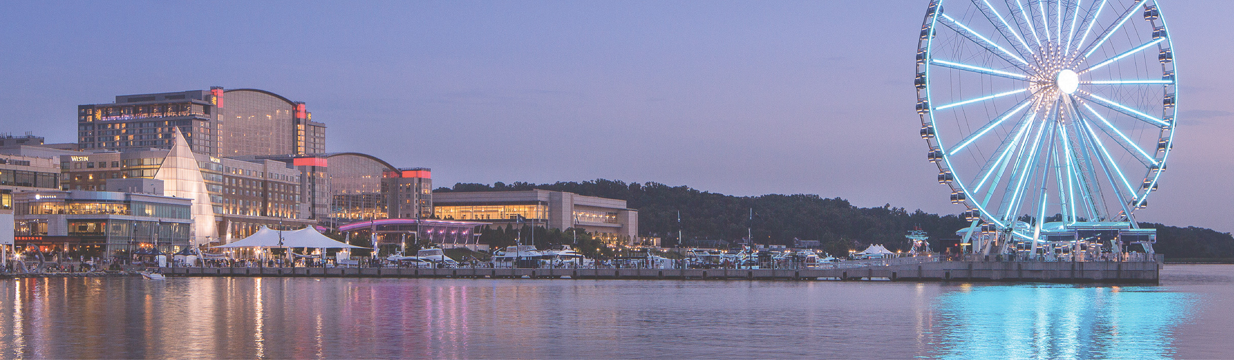 lorem ipsum dolor sit