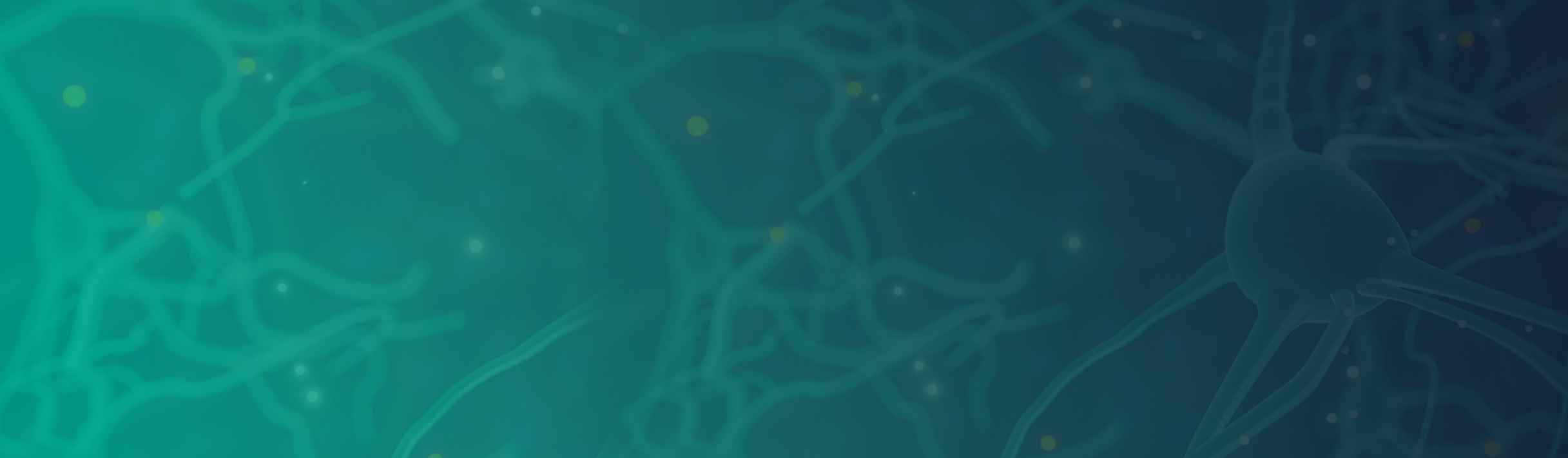 lorem ipsum dolor sit